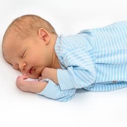 Dreamy Nights: Baby Sleep Solutions Unveiled - Perfect Sleep