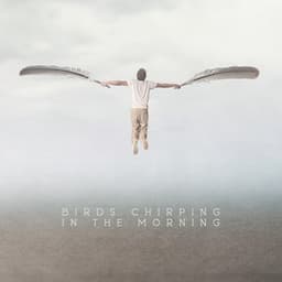 Birds Chirping in the Morning: Sound Effect & Relaxing Music Compilation - Serenity Music Relaxation