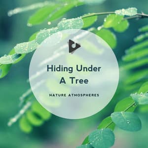 Hiding Under A Tree - Nature Atmospheres