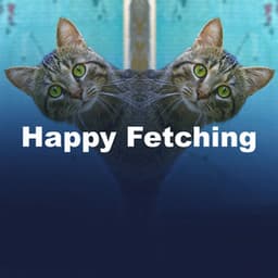Happy Fetching - Music For Dogs