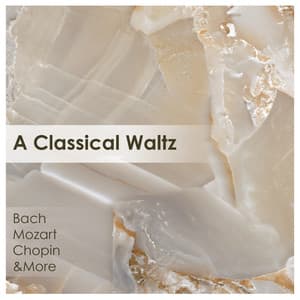 "A Classical Waltz" - Johann Sebastian Bach