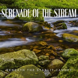 Serenade of the Stream: Waterside Slumber - River Dreams Catalog