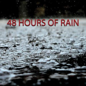 48 Hours Of Rain - Edgar Withers