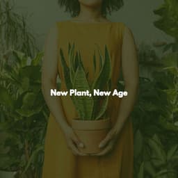 New Plant, New Age - Jazz Afternoons