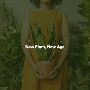 New Plant, New Age - Jazz Afternoons