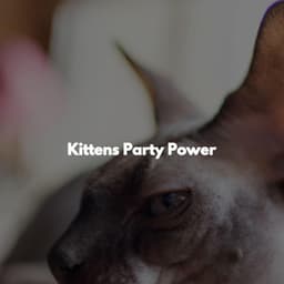 Kittens Party Power - Brunch Chillout Playlist