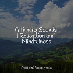 Affirming Sounds | Relaxation and Mindfulness - White Noise Sleep Sounds