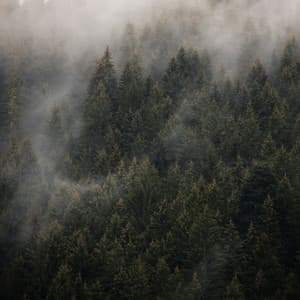 12AM Showers: Songs For Sleep - Meditation Rain Sounds