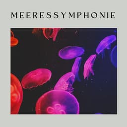 Meeressymphonie - Meeresgeräusche