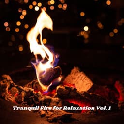Tranquil Fire for Relaxation Vol. 1 - Sleep Repeat