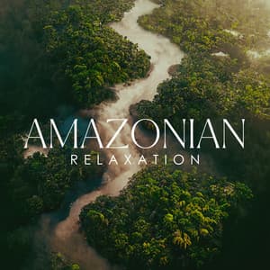 Amazonian Relaxation: Nature Sounds of the Amazon Rainforest, Jungle Sounds, Pure Nature Music - Nature Music Sanctuary