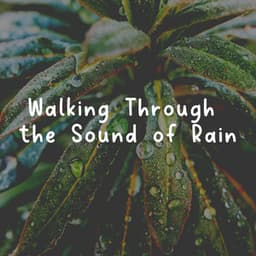 Walking Through the Sound of Rain - Natsound