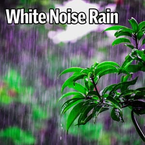 White Noise Rain - Perfect White Noise