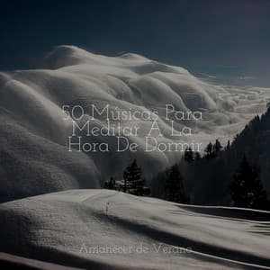 50 Músicas Para Meditar A La Hora De Dormir - Relaxing Mindfulness Meditation Relaxation Maestro