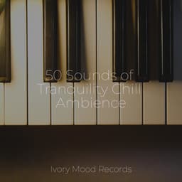 50 Sounds of Tranquility Chill Ambience - Deep Sleep Meditation