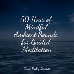 50 Hour of Mindful Ambient Sounds for Guided Meditation - Entspannungsmusik
