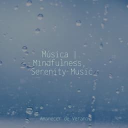 Música | Mindfulness, Serenity Music - Yoga Music