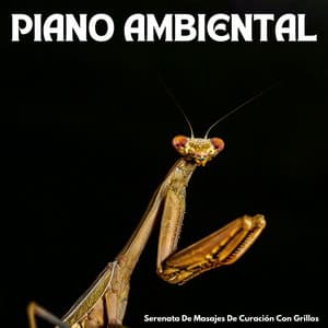 Piano Ambiental: Serenata De Masajes De Curación Con Grillos - Sonidos ambientales de la naturaleza