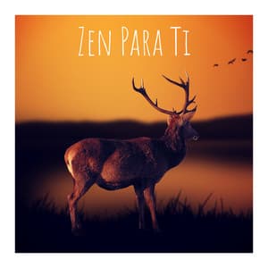 Zen para Ti - Bébé Berceuse