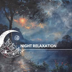 Night Relaxation - Night Nature Sounds