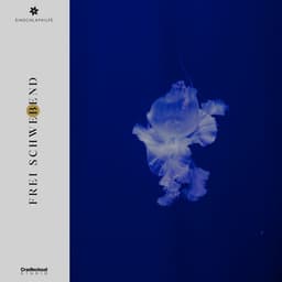 Frei Schwebend - Einschlafhilfe