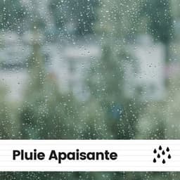 Pluie Apaisante - Sons De Pluie