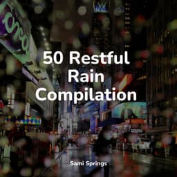 50 Restful Rain Compilation - Deep Focus