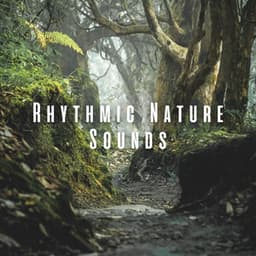 Rhythmic Nature Sounds - Ambient Nature Sounds