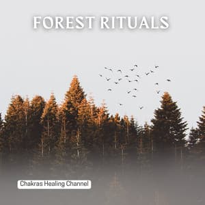 Forest Rituals: Tribal Soundscapes - Chakras Healing Channel