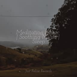 Meditation Music | Soothing Music | Sleep - Baby Songs & Lullabies For Sleep