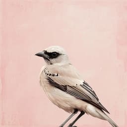 Relajación Alada: Sonidos Relajantes De Aves Binaurales - 92 96 Hz - Cuencos Tibetanos Sonidos Relajantes