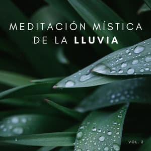 Meditación Mística De La Lluvia Vol. 2 - Sueño Encantado