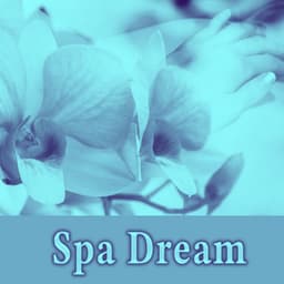 Spa Dream – Fabulous Nature Sounds, Beautiful Sounds for Massage & Spa Treatments, Inner Peace, Deep Relaxing Music - Day Spa Academy