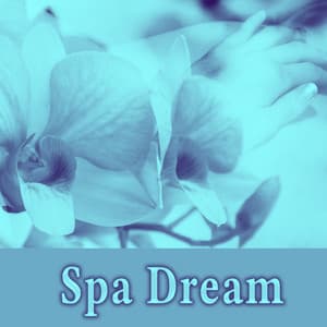 Spa Dream – Fabulous Nature Sounds, Beautiful Sounds for Massage & Spa Treatments, Inner Peace, Deep Relaxing Music - Day Spa Academy