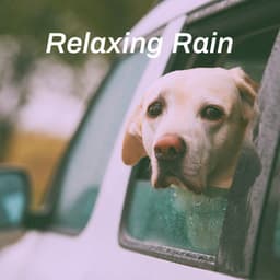 Relaxing Rain - Relaxing Rain Sounds