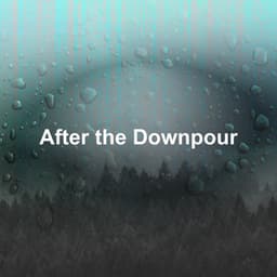 After the Downpour - Lluvia Relajante