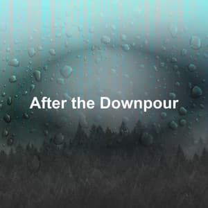 After the Downpour - Lluvia Relajante
