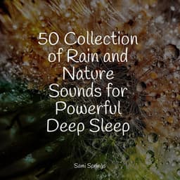 50 Collection of Rain and Nature Sounds for Powerful Deep Sleep - Natural Samples