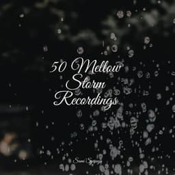 50 Mellow Storm Recordings - Sleep Songs 101