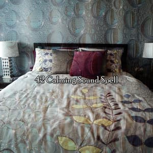 42 Calming Sound Spell - Lullaby Experts