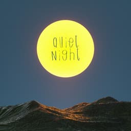 Quiet Night - Deep Sleep Music Therapy