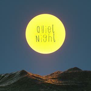 Quiet Night - Deep Sleep Music Therapy