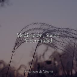 Meditación, Sueño Y Serenidad - Rumbas de España