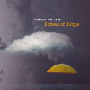 Dozens of Drops - Rainfall For Sleep