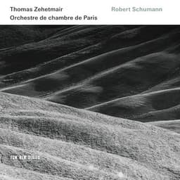 Schumann: Violin Concerto; Symphony No. 1 - Robert Schumann