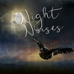 Night Noises - Sleep Crickets