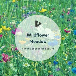 Wildflower Meadow - Nature Sounds by Lullify