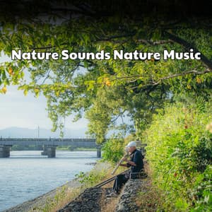Sleeping Infused Music For Rest and Sleep - Sonidos de la Naturaleza Relajacion