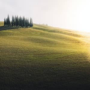 White Cosy Sleep Sound - Relaxing Sounds of Nature White Noise Waheguru