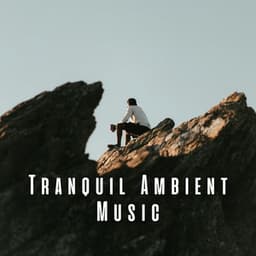 Tranquil Ambient Music - Joyful Harmony Music